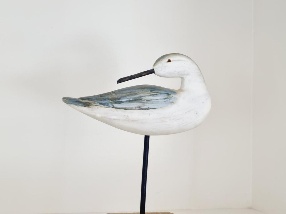 Villa Les Mouettes, Au Bord De La Mer. Saint-Malo Extérieur photo